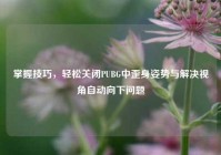 掌握技巧，轻松关闭PUBG中歪身姿势与解决视角自动向下问题