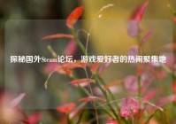 探秘国外Steam论坛，游戏爱好者的热闹聚集地