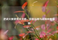 逆战火姬使用全攻略，技能运用与战场称霸指南