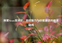 探索Steam亚洲区，游戏魅力与印度激活码相关疑问