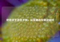 绝地求生语音卡掉，玩家痛点及解决疑问