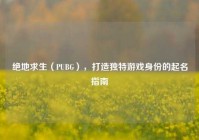 绝地求生（PUBG），打造独特游戏身份的起名指南