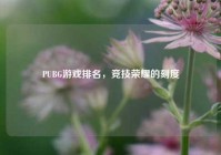 PUBG游戏排名，竞技荣耀的刻度
