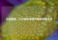 玩家困扰，PUBG键位重置失败且按键失灵