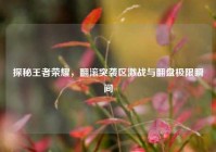 探秘王者荣耀，翻滚突袭区激战与翻盘极限瞬间