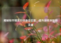 揭秘和平精英白球最佳位置，提升游戏体验的关键