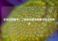 逆战注销账号，二级密码是否必要及安全性探讨