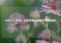 OPPO A57 实测，王者荣耀战场帧率表现揭秘