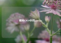 揭秘CSGO中的askware