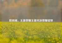 欧尚城，王者荣耀王者对决荣耀绽放