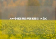 CSGO 中增添竞技乐趣的整队 ID 盘点