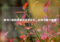 探寻CF梧桐直播间背景音乐，名称与魅力揭秘