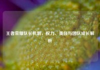 王者荣耀队长机制，权力、责任与团队成长解析