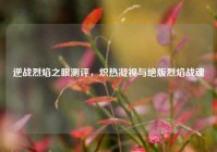 逆战烈焰之眼测评，炽热凝视与绝版烈焰战魂