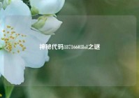 神秘代码18716603lol之谜
