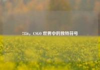 7356，CSGO 世界中的独特符号