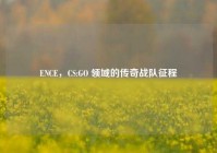 ENCE，CS:GO 领域的传奇战队征程