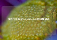 探寻CSGO选手Lucky与Perfecto的闪耀轨迹