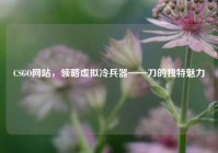 CSGO网站，领略虚拟冷兵器——刀的独特魅力