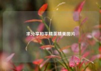 求分享和平精英精美图片