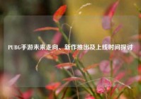 PUBG手游未来走向、新作推出及上线时间探讨