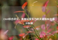 CSGO综合评分，衡量玩家实力的关键指标及高分标准