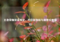 王者荣耀装备预定，开启新体验与查看位置指引