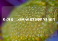 轻松掌握，LOL游戏内查看丢包率的方法与技巧