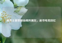 探寻王者荣耀仙阁所属区，追寻电竞回忆