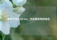 猪肘子烹饪与CSGO，生活里的奇妙组合