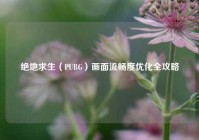 绝地求生（PUBG）画面流畅度优化全攻略