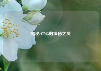 揭秘cf7593的神秘之处