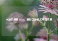VR跑步邂逅Steam，解锁沉浸式运动新境界