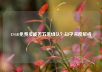 CSGO免费版能否五黑组队？知乎深度解析