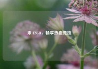 来 CSGO，畅享热血竞技
