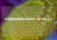 和平精英简单键位设置教学，助力轻松上分