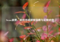 Steam消费，游戏市场微观洞察与宏观趋势