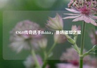 CSGO传奇选手Hobbit，赛场璀璨之星