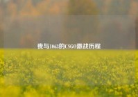 我与1063的CSGO激战历程