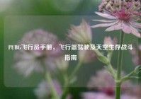 PUBG飞行员手册，飞行器驾驶及天空生存战斗指南