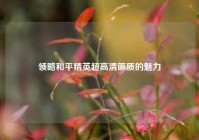 领略和平精英超高清画质的魅力