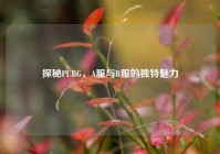 探秘PUBG，A服与B服的独特魅力