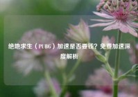 绝地求生（PUBG）加速是否要钱？免费加速深度解析