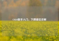 CSGO新手入门，下蹲键位详解