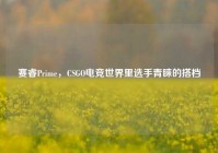 赛睿Prime，CSGO电竞世界里选手青睐的搭档