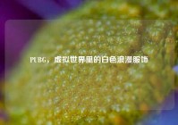 PUBG，虚拟世界里的白色浪漫服饰