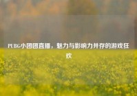 PUBG小团团直播，魅力与影响力并存的游戏狂欢