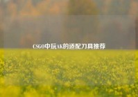 CSGO中玩AK的适配刀具推荐
