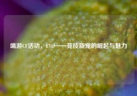 端游CF活动，EVO——竞技新宠的崛起与魅力