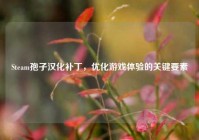 Steam孢子汉化补丁，优化游戏体验的关键要素